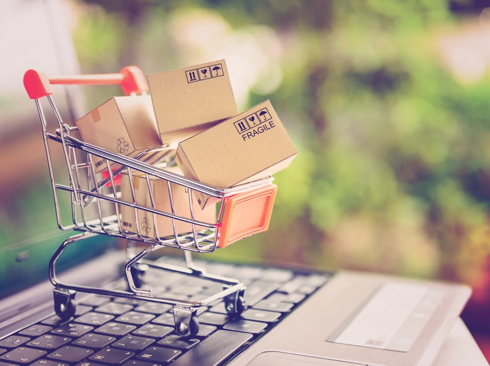 Ecommerce: A Comprehensive Guide Your Online Store
