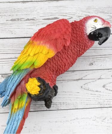 Macaw Parrot Price in India: A Comprehensive Guide